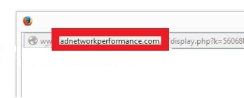 Adnetworkperformance.com-adware