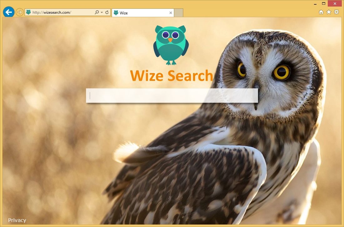 Wizesearch
