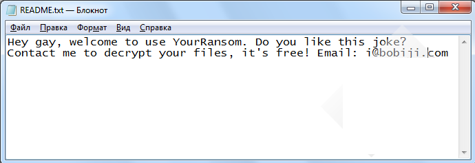 YourRansom ransomware-