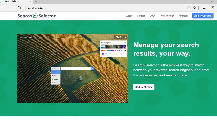 Search-selector.co-