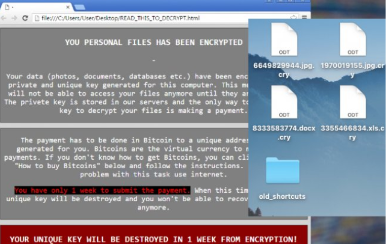 Cry9 ransomware virus