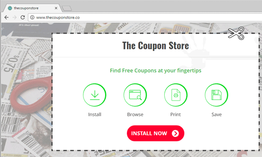 The coupon store