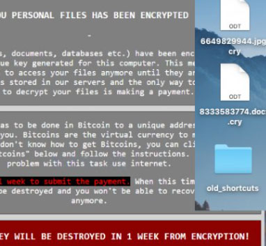cry9-ransomware