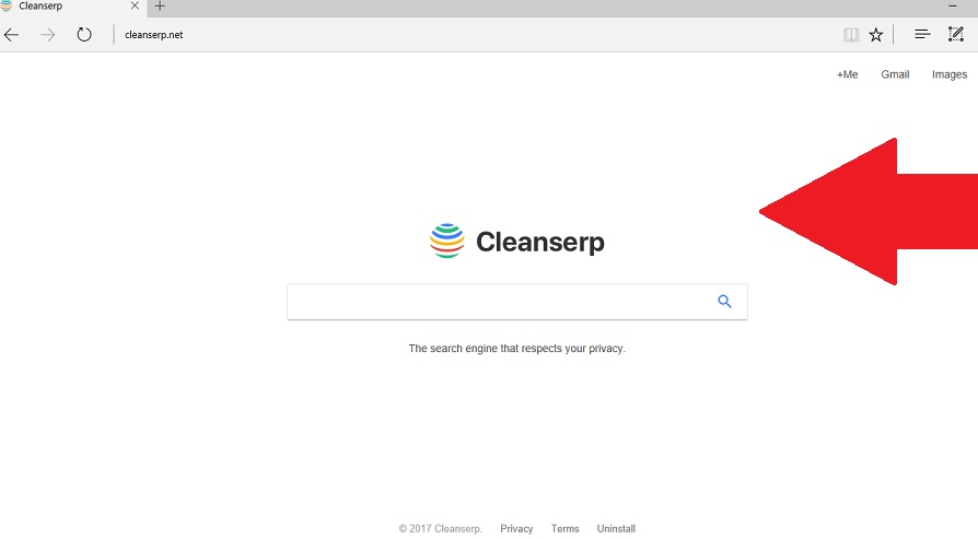 Cleanserp.net-