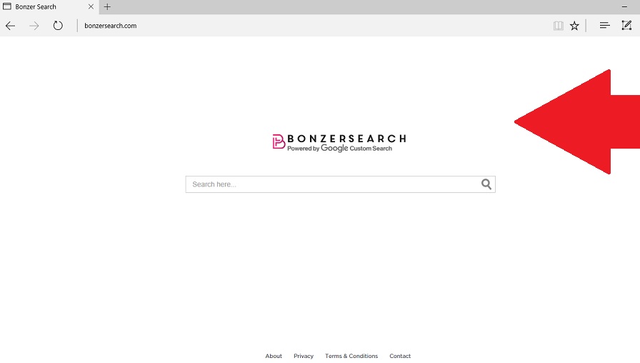 BonzerSearch.com-