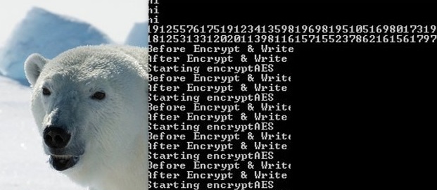 Wooly-ransomware-removal