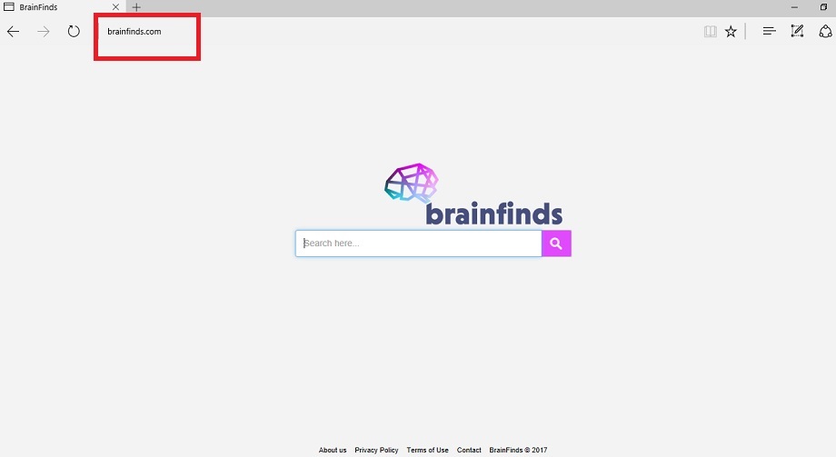 Brainfinds.com-removal