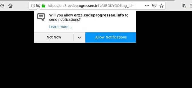 Codeprogressee.info-_.jpg