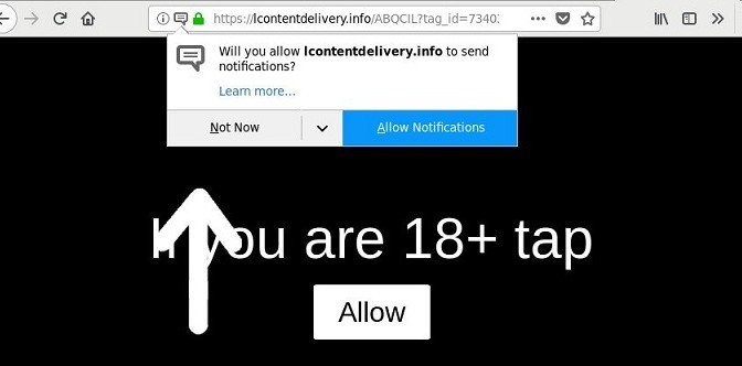 Lcontentdelivery.info-_.jpg